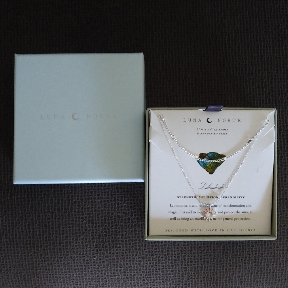 Luna🌙 Norte Double✌️ Silver🤍 Necklace - NIB - Picture 11 of 15